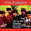 The Fortunes - You've Got Your Troubles